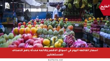 أسعار الفاكهة اليوم في أسواق الأقصر وقائمة محدثة بأهم الأصناف للمستهلكين